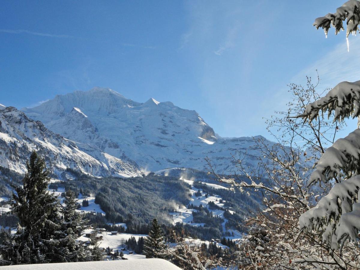 Apartment Eigersonne By Interhome Wengen Exteriör bild